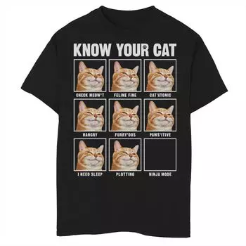 Футболка Fifth Sun Know Your Cat Box Up для мальчиков 8–20 лет с рисунком Fifth Sun