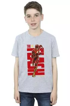 Футболка Флэш Дэш DC Comics, серый