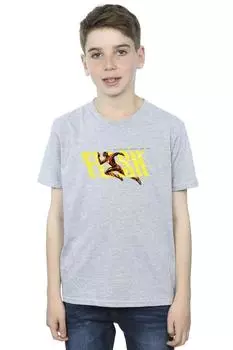 Футболка Flash Lightning Dash DC Comics, серый