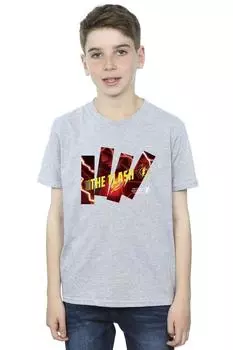 Футболка Flash Pillars DC Comics, серый