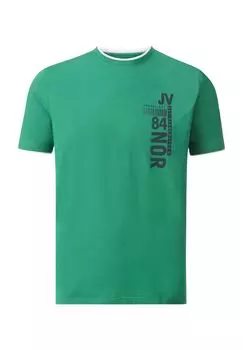 Футболка ФЛЕММИНГ JAN VANDERSTORM, зеленый