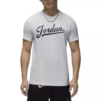 Футболка Flight T-shirt Men Pure Platinum/черный Jordan, черный