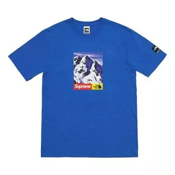 Футболка fw17 the north face mountain royal tee Supreme, синий