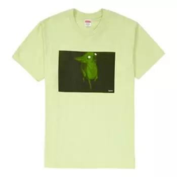 Футболка fw18 chris cunningham chihuahua pale mint tee Supreme, зеленый