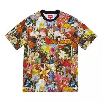 Футболка fw18 dream ss top multicolor tee Supreme, мультиколор