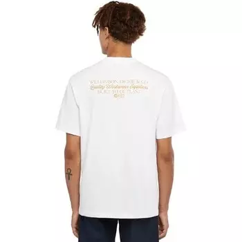 Футболка Глобус Dickies, белый