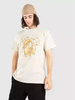 Футболка «Горный як» Mountain Hardwear, серый