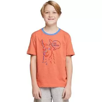 Футболка «говорящая лама» из органического материала — для мальчиков Cotopaxi, цвет nectar