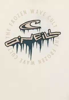 Футболка GRAPHIC O'Neill, белый