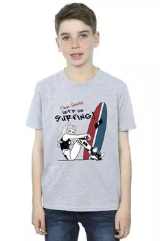 Футболка Harley Quinn Let's Go Surfing DC Comics, серый