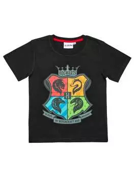 Футболка Harry Potter, черный