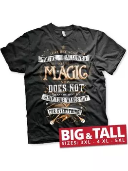 Футболка Harry Potter, черный