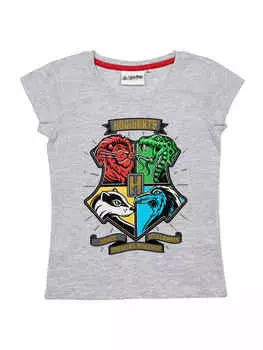 Футболка Harry Potter, серый