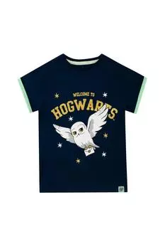 Футболка «Хогвартс Хедвиг» Harry Potter, синий