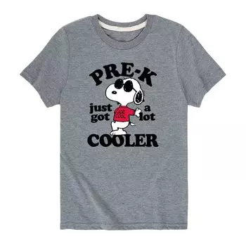 Футболка-холодильник с рисунком Peanuts Pre-K для мальчиков 8–20 лет Licensed Character, серый