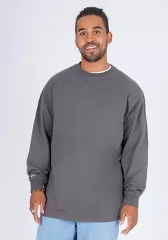 Футболка HONESTY RULES Longsleeves French Terry Signature, серый