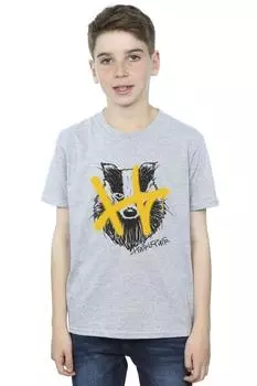Футболка Hufflepuff Pop Spray Harry Potter, серый