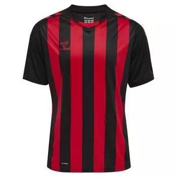 Футболка Hummel Core XK Striped, разноцветный