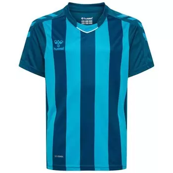 Футболка Hummel Core XK Striped, синий