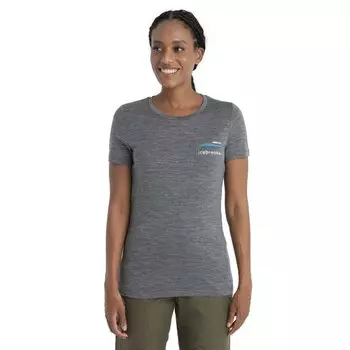 Футболка Icebreaker 150 Tech Lite II Aotearoa Merino, серый