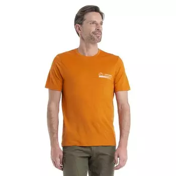 Футболка Icebreaker 150 Tech Lite II Mountain Merino, оранжевый