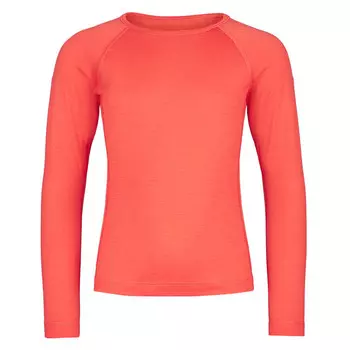 Футболка Icebreaker, цвет Vibrant Earth