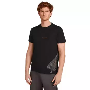 Футболка Icebreaker Merino 150 Tech Lite 30th Anniversary, черный