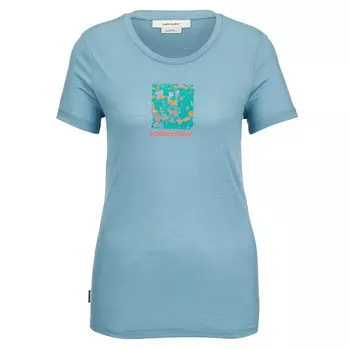 Футболка Icebreaker, светло-голубой
