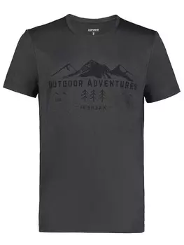 Футболка Icepeak BEARDEN, синий