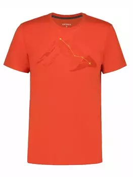 Футболка Icepeak BEEVILLE, оранжевый