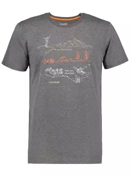 Футболка Icepeak BEEVILLE, серый