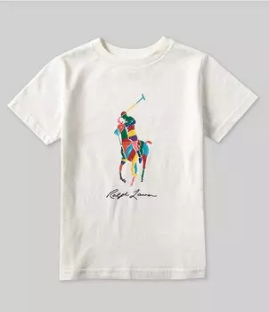 Футболка из джерси с короткими рукавами Polo Ralph Lauren Little Boys 2T-7 Big Pony, белый