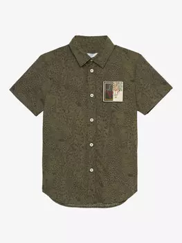 Футболка из хлопка Roberto Cavalli Junior, зеленый