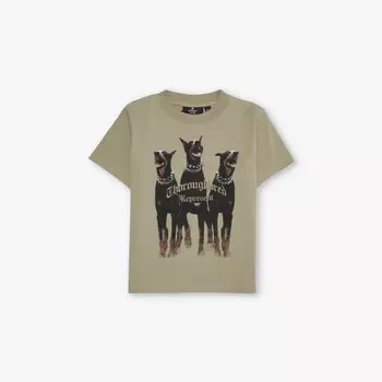 Футболка из хлопкового джерси с графическим принтом от чистокровной породы Represent, хаки