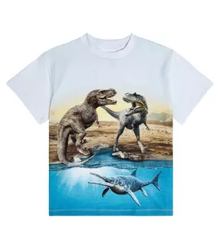 Футболка из хлопкового джерси с принтом Roxo MOLO, разноцветный