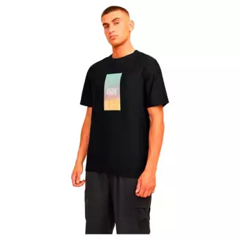 Футболка Jack & Jones Aruba Sunset Branding, черный
