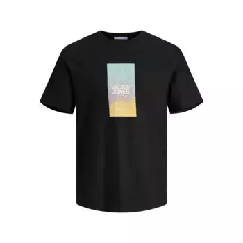 Футболка Jack & Jones Aruba Sunset Branding Plus Size, черный