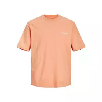 Футболка Jack & Jones Sequoia Back, оранжевый