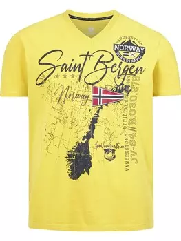 Футболка Jan Vanderstorm, желтый