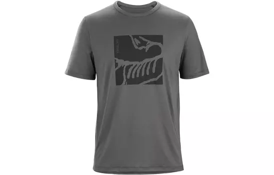 Футболка Эрис мужская Arcteryx, зеленый