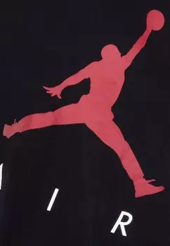 Футболка JUMPING BIG AIR TEE Jordan, черный
