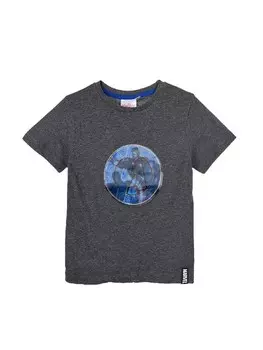 Футболка Kids Movie Heroes AVENGERS, серый