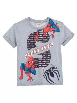 Футболка Kids Movie Heroes SPIDERMAN, серый
