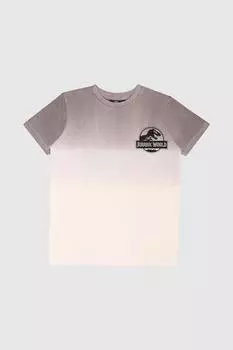 Футболка Комитета по наблюдению за динозаврами в стиле омбре Jurassic Park, серый