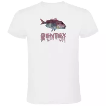 Футболка Kruskis Dentex, белый