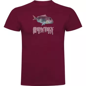 Футболка Kruskis Dentex, красный