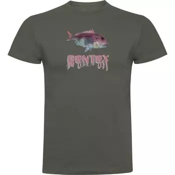 Футболка Kruskis Dentex, зеленый