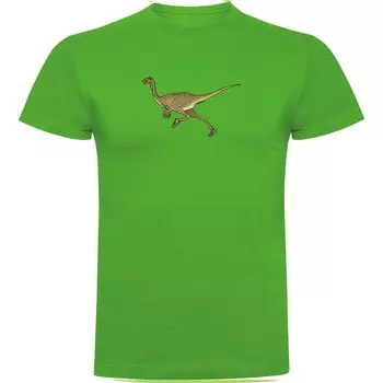 Футболка Kruskis Dino Run, зеленый