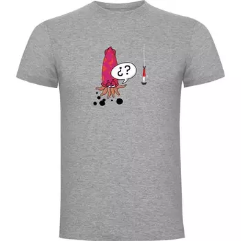 Футболка Kruskis Kalamar, серый