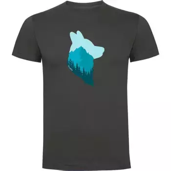 Футболка Kruskis Wolf, серый